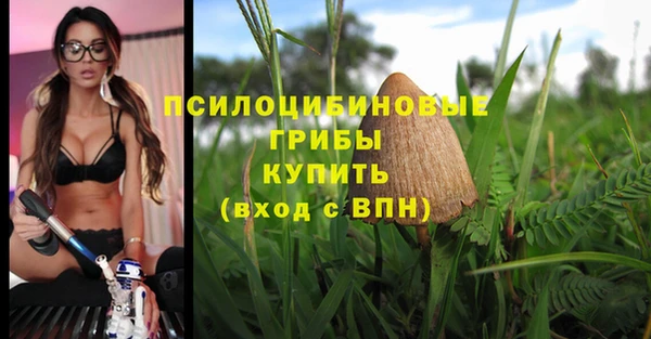 a pvp Покачи