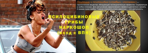 дживик Лагань