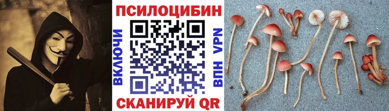 Галлюциногенные грибы MAGIC MUSHROOMS  цена наркотик  Ноябрьск 