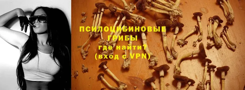 MEGA ссылки купить закладку Ноябрьск Псилоцибиновые грибы прущие грибы
