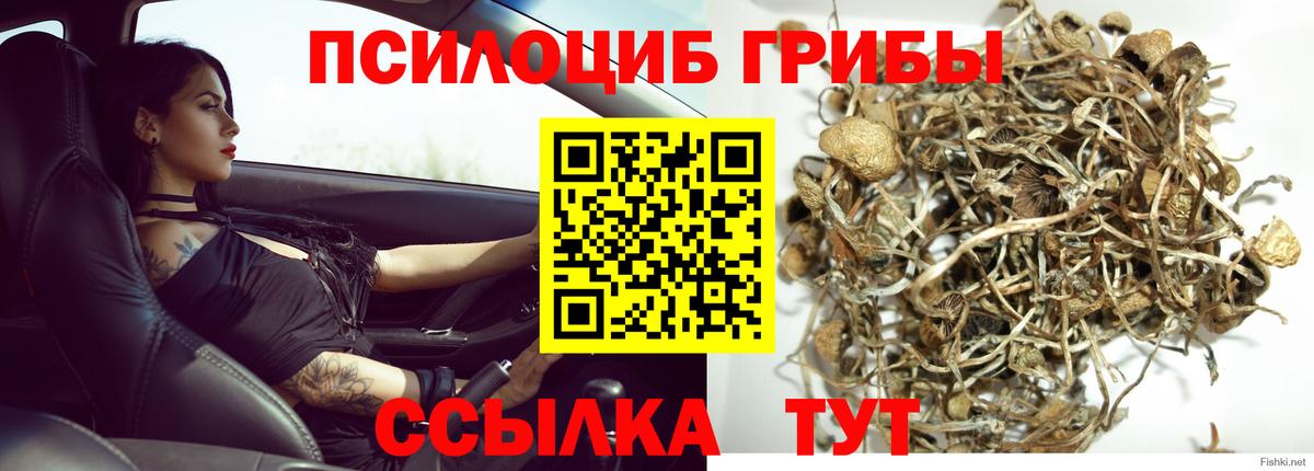 Псилоцибиновые грибы мухоморы Ноябрьск