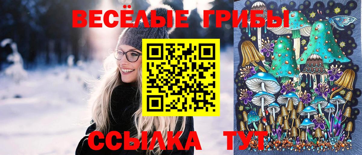 Псилоцибиновые грибы прущие грибы  Вход с VPN  Ноябрьск 