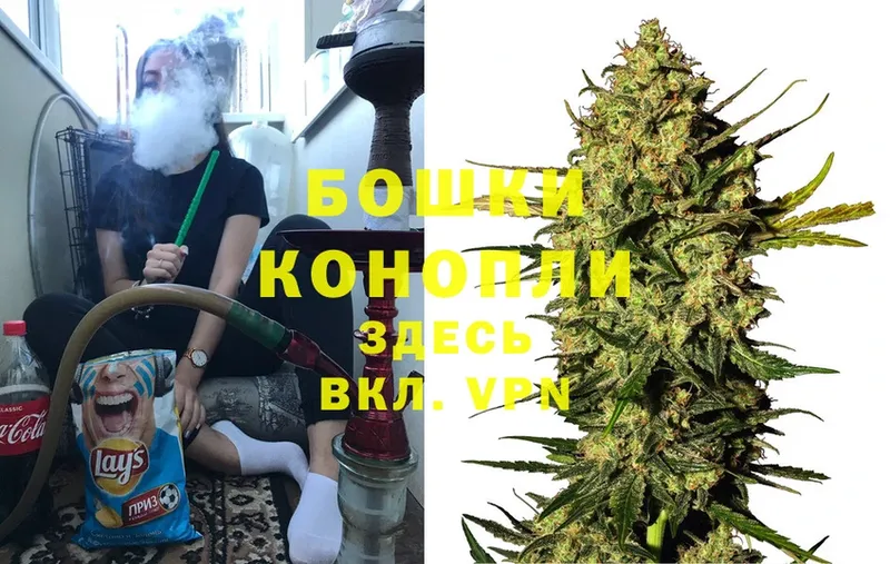 как найти наркотики  Ноябрьск  Шишки марихуана LSD WEED 