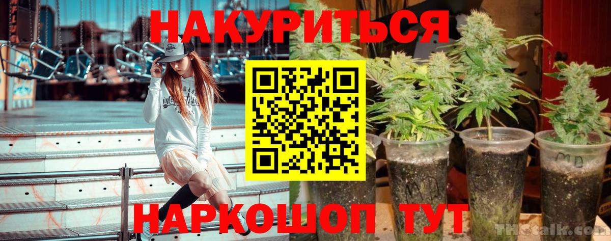 Канабис VHQ Ноябрьск